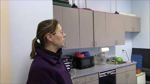 AKC Buried Novice Scent Work - BeaBeas Dog Training