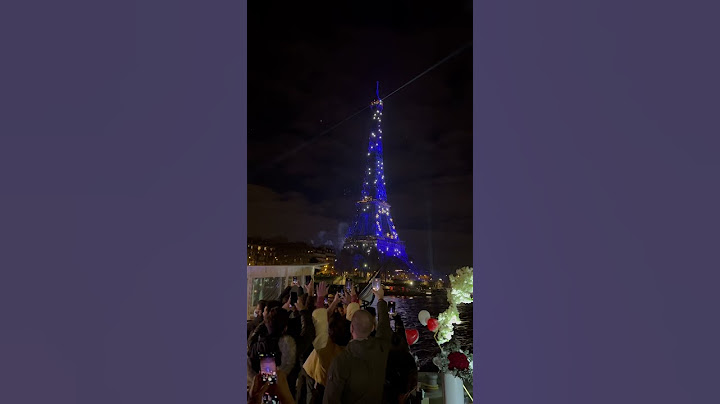 New Year countdown in Paris ❤️🇫🇷
