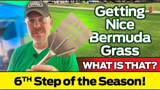 Sixthstep of the Season! Getting Nice Bermuda Grass!