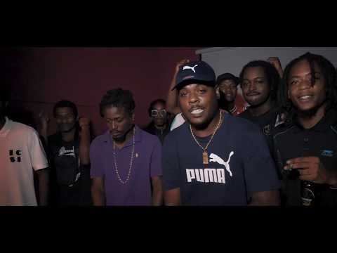 Tetra Video