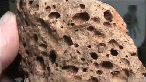 Mudfossil U Part 3 A New Universe