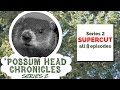 Possum head chronicles series 02 supercut