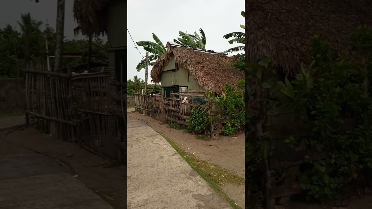 Bagyong Bising Update