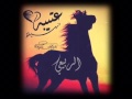 شيله ربيع ساس العز للخيل فرسان 