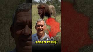 Aslan Araştırmacısını Aslanlar Yedi̇ I Şiyaşam