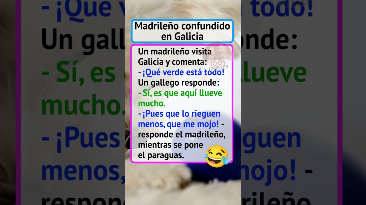 Madrileño confundido en Galicia #chistes #humor #comedia #risa #diversión #bromas #reír #risas