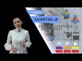 Занятие 18 | Кислоты. Действие кислот на индикаторы | Курс химии | 7 класс