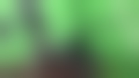 BEACON MACHINE CR917S common rail injector pump test bench with EUI EUP function with 960 system