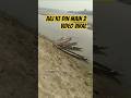 Aaj ke din main 2 video vairal #short#nature