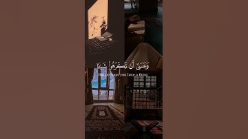 وعسى أن تكرهوا شيئا وهو خير لكم | سورة البقرة الآية 216