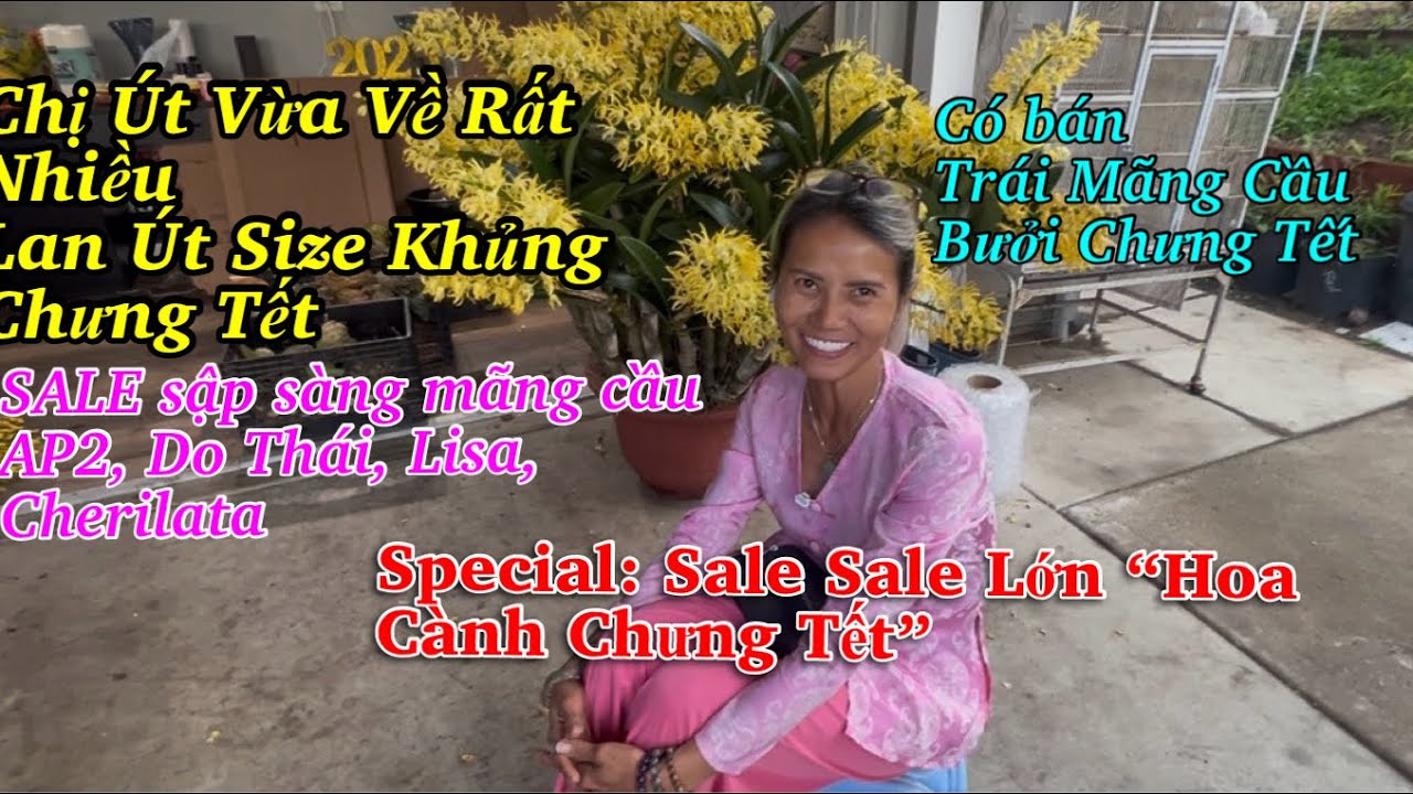 Vườn Cây Út Nhỏ Sale Lớn Nhiều Mặt Hàng Cận Tết 