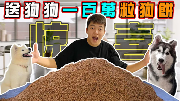 【巨大驚喜】送狗狗1,000,000粒狗餅！他們的反應會怎樣？! - 天天要聞