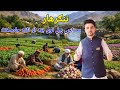 Good News From Nangarhar Turnip Carrot Harvest Increases This Year 2026 