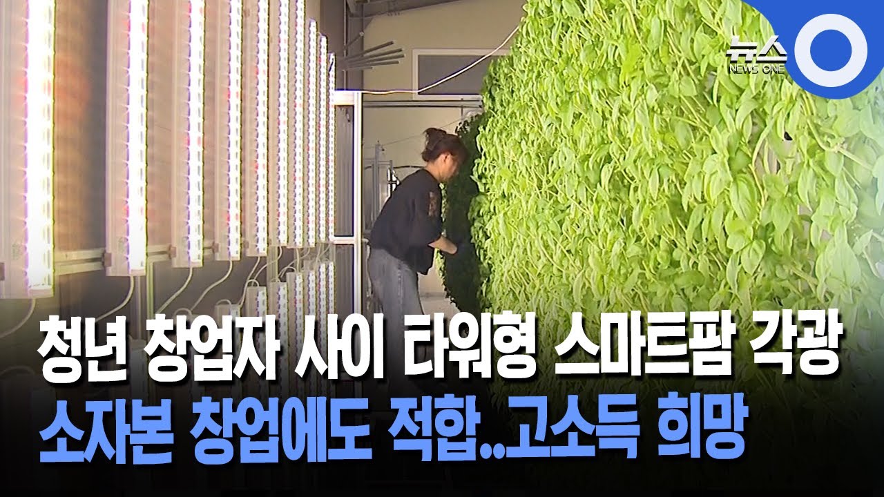 OBS l 청년 창업자 사이 타워형 스마트팜 각광... 소자본 창업에도 적합..고소득 희망