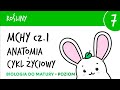Rośliny 7 🌳Mchy cz.1 budowa, cykl życiowy, przemiana pokoleń - matura z biologii