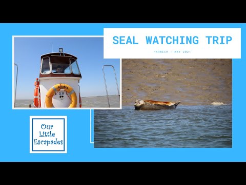 Seal Watching Trip Harwich - Hamford Water Nature Reserve - Private Seal Watching Tour