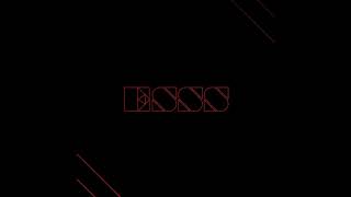 ESSS / Berlingot
