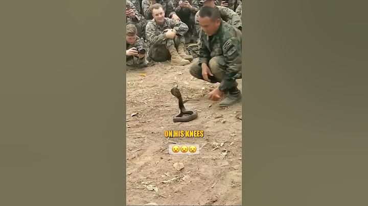 This Solder Tamed A Snake #babyboy #cricket #drawing #motivation #alightmotion #amazing #funny