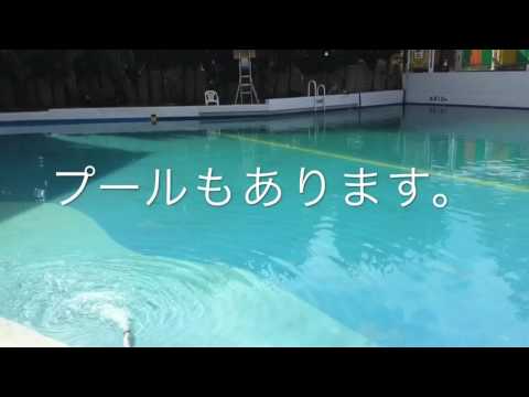ホテバンク 佐賀大和温泉アマンディ熊野川 佐賀市 周辺施設 口コミ 写真 動画