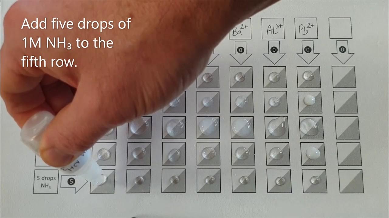 Testing for positive ions reactions with hydroxide and ammonia YouTube