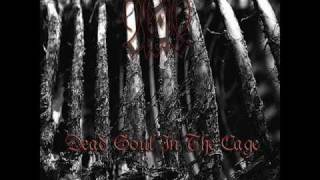 Aras - Sarzamin e Soogvar