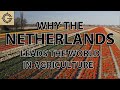 Why the dutch lead the world in agriculture exports