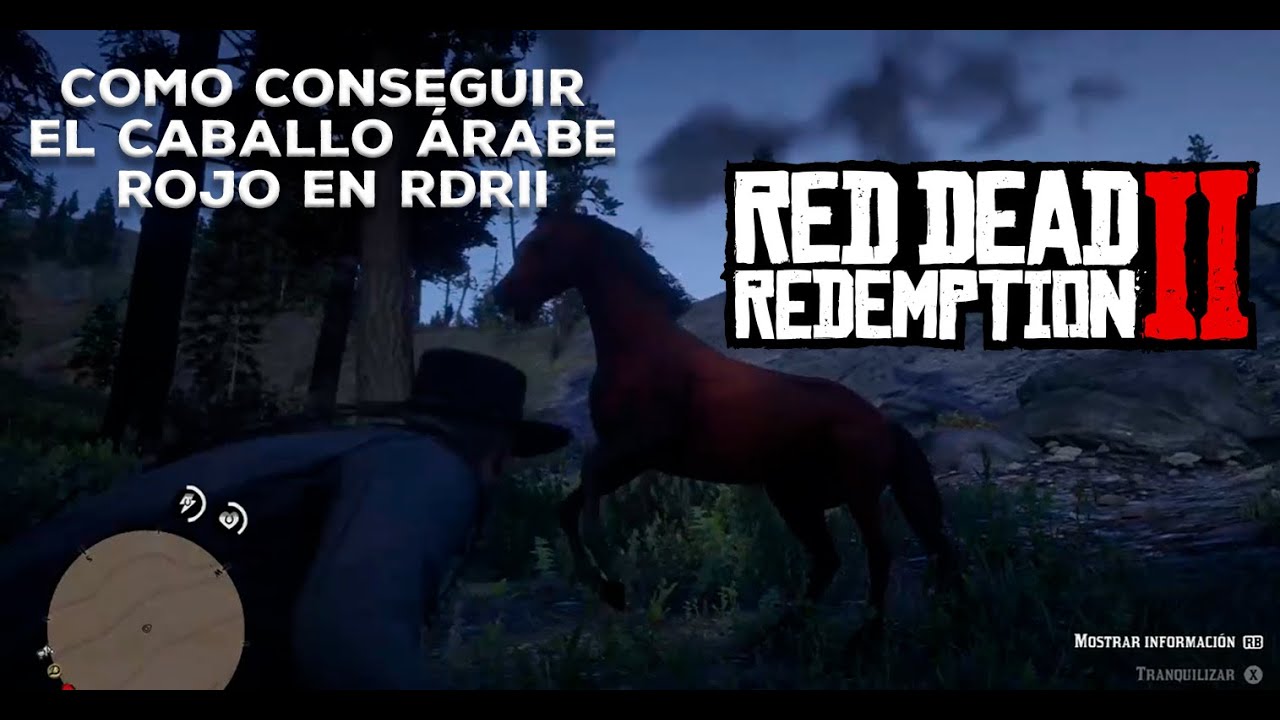 Cómo conseguir el caballo árabe rojo en Red Dead Redemption II - YouTube