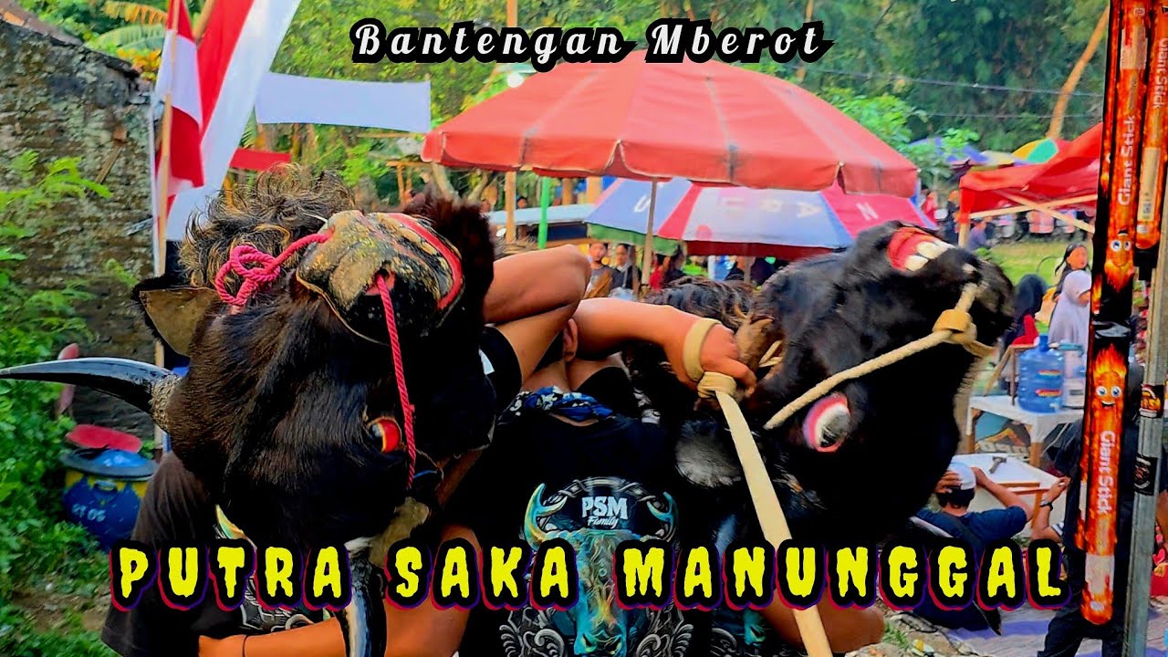 Kalap Ngamok Obr4k Abrik Kalangan - Bantengan PUTRA SAKA MANUNGGAL Live Hamid Rusdi Timur Bunulrejo