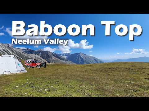Baboon Top Jeep