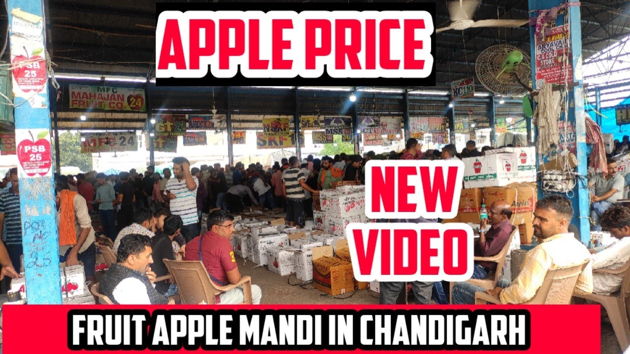 fruit apple mandi (market) in Chandigarh 1 Fruit apple mandi in (market) panchkula सेब मंडी चंडीगढ़
