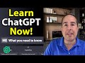 Chat gpt demystified easy steps for beginners