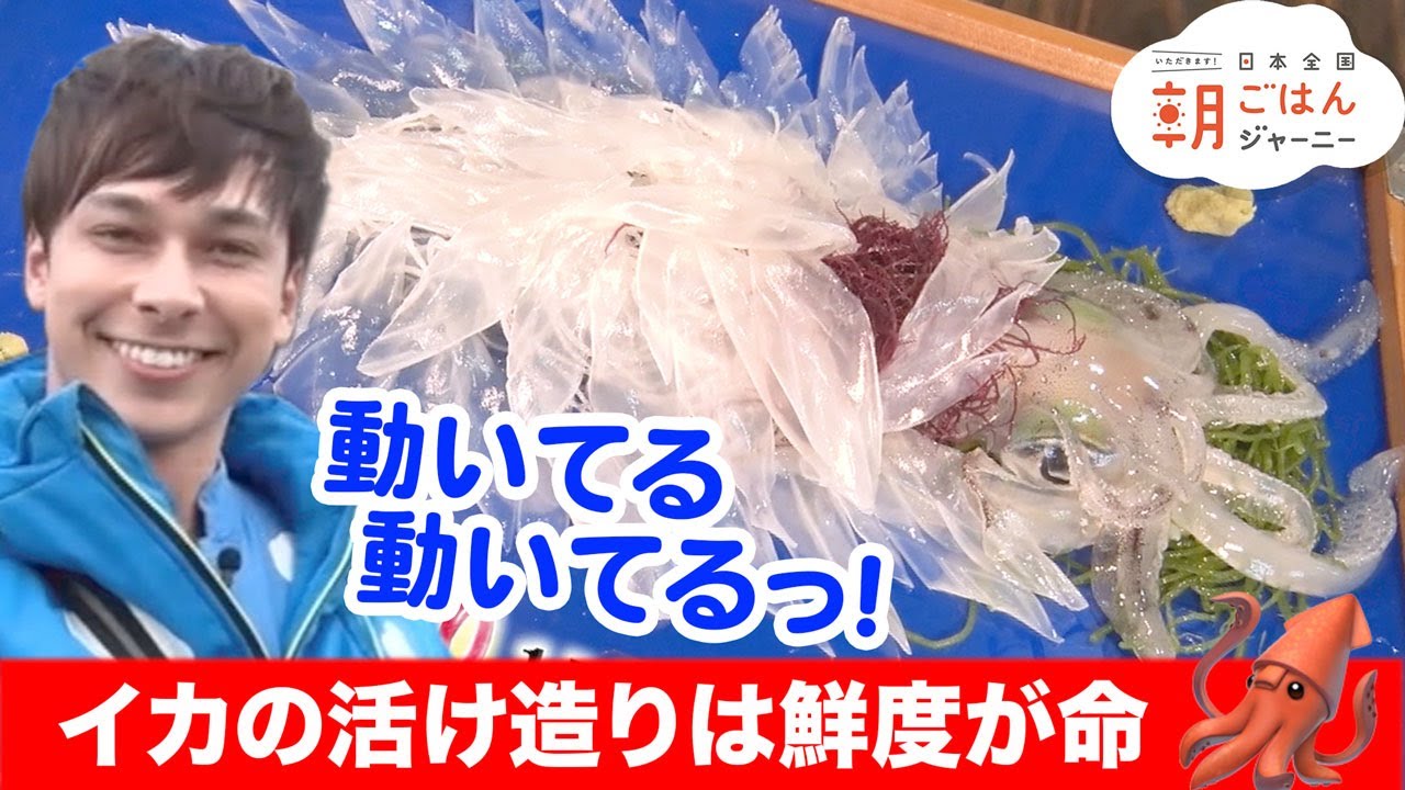 佐賀県 呼子イカの活き造り とは 発祥と由来を解説 にっぽんの郷土料理観光事典