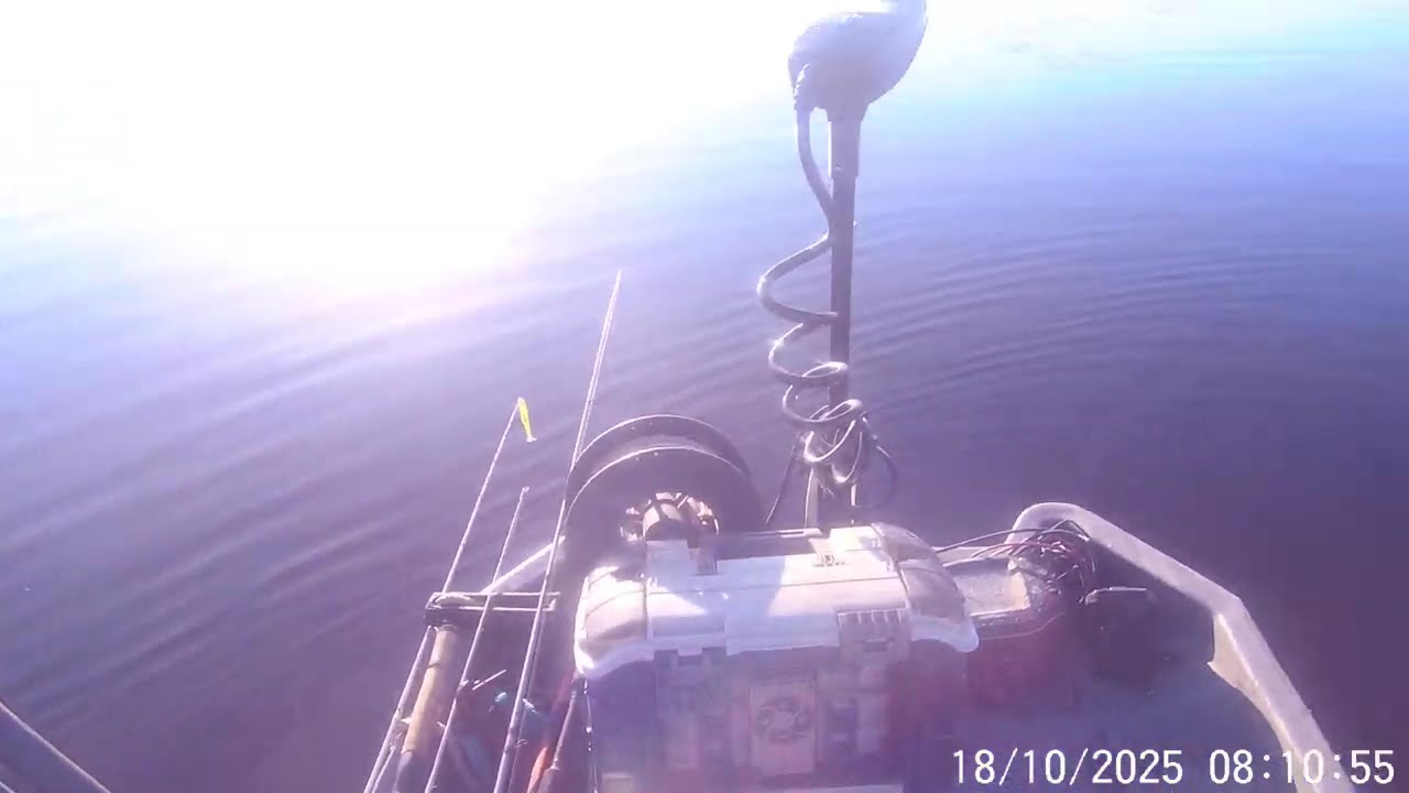 Pond Prowler 8 with Autoboat Smart Head