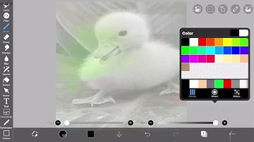 Roblox Insta-Accept + Full-Color Bypassing. 2025 | Depends (PATCHED)