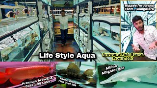 Biggest Arowana Farm in south india - Exotic Fish Arowana Fish Farm tour in Banglore