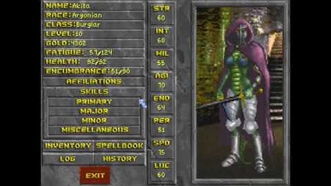 weird Daggerfall glitch