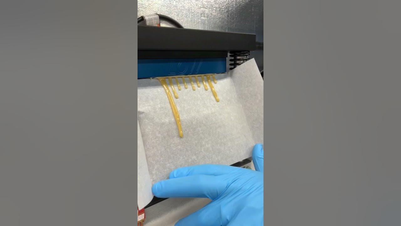Low temp plates v2 rosin press in action hash rosin education series