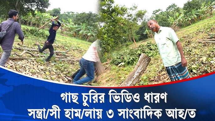 Transseksual jinsiy giflar