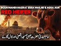 Why israel sacrificing red heifer in april  third temple jerusalem  red heifer prophecy  faisal