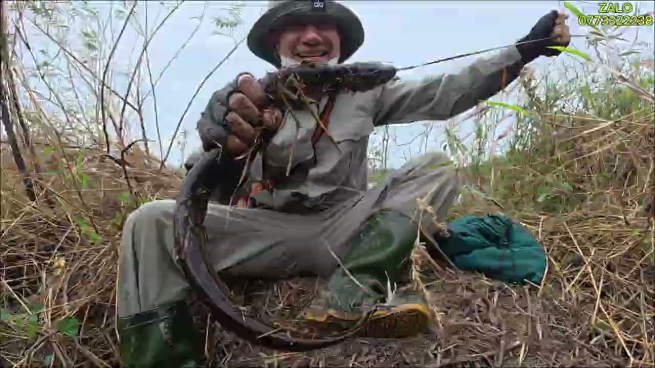 Жаль это место: на свалке до сих пор водятся огромные угри!