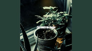 Sparkling Ambience for Seeking Dreams