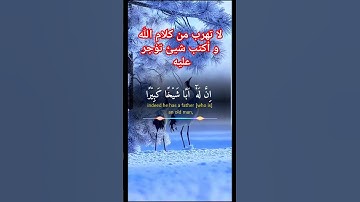 💙سورة يوسف القرآن الكريم 💙 #القرآن_الكريم #الذكر_الحكيم #اكسبلور #المصحف #everyone #راحة_نفسية