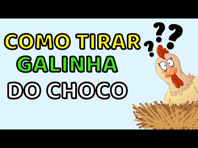 Como tirar galinhas do choco, você sabe?, Dicas Cursos CPT