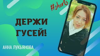 Держи Гусей! #Shorts / Анна Лукьянова