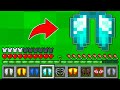 Minecraft Ma ci sono le ELYTRA PERSONALIZZATE!