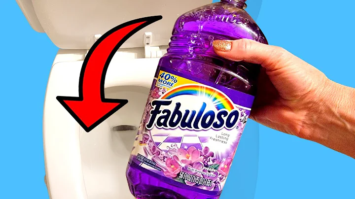 How do you use the Fabuloso toilet hack? (2023)