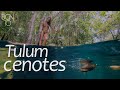 MÉXICO 5 - Cenotes en Tulum