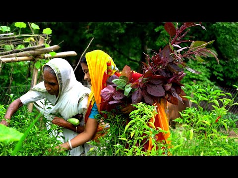 ভিডিও: সবজির বাগানের রেসিপি দিয়ে রান্না