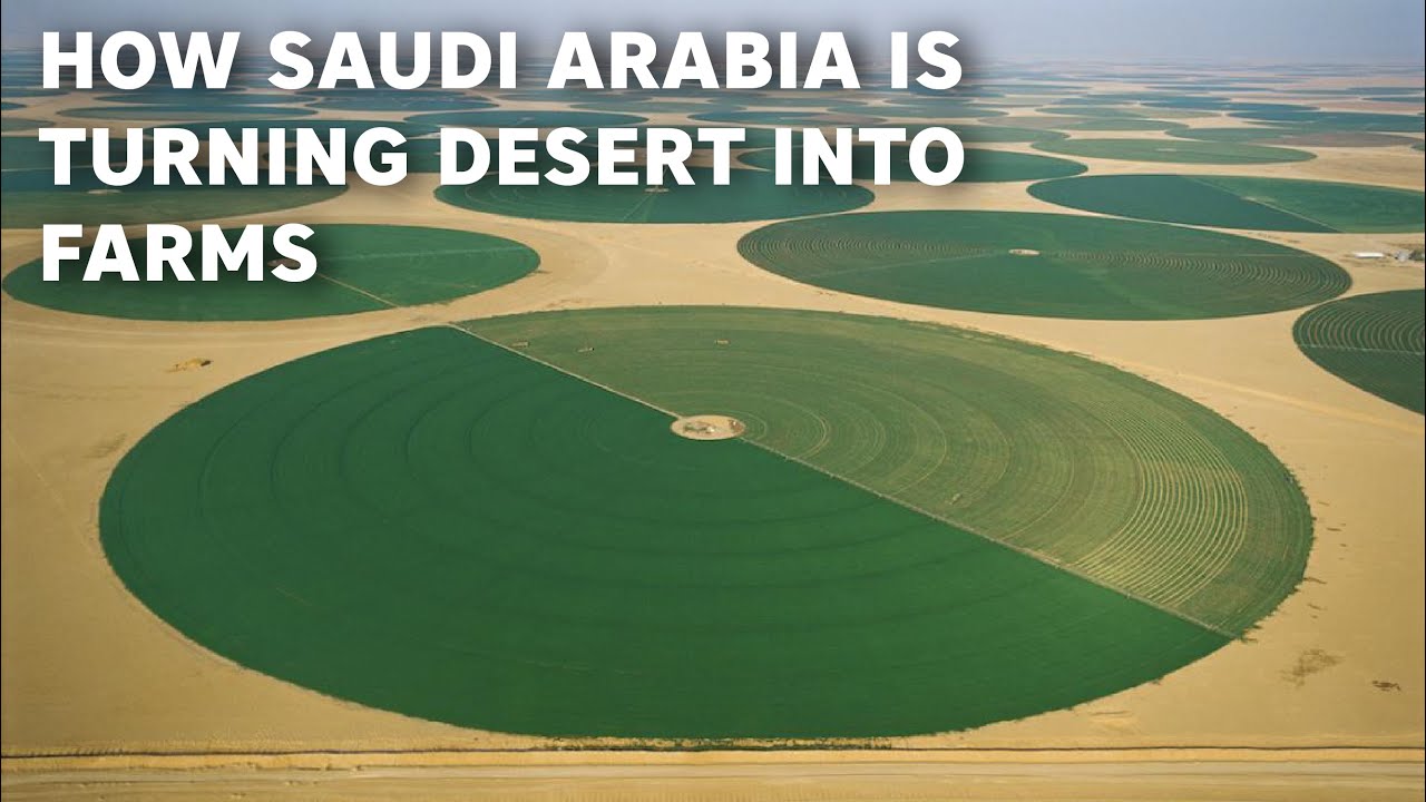How Saudi Arabia Is Turning Desert into Huge Farmlands