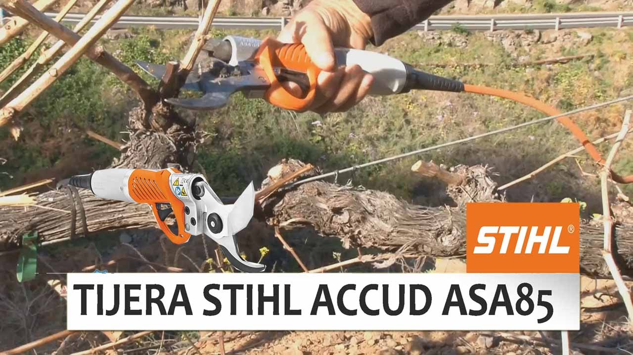 asa 85 stihl despiece tijera poda de segunda mano por 1 EUR en Barrio de La  Aurora en WALLAPOP